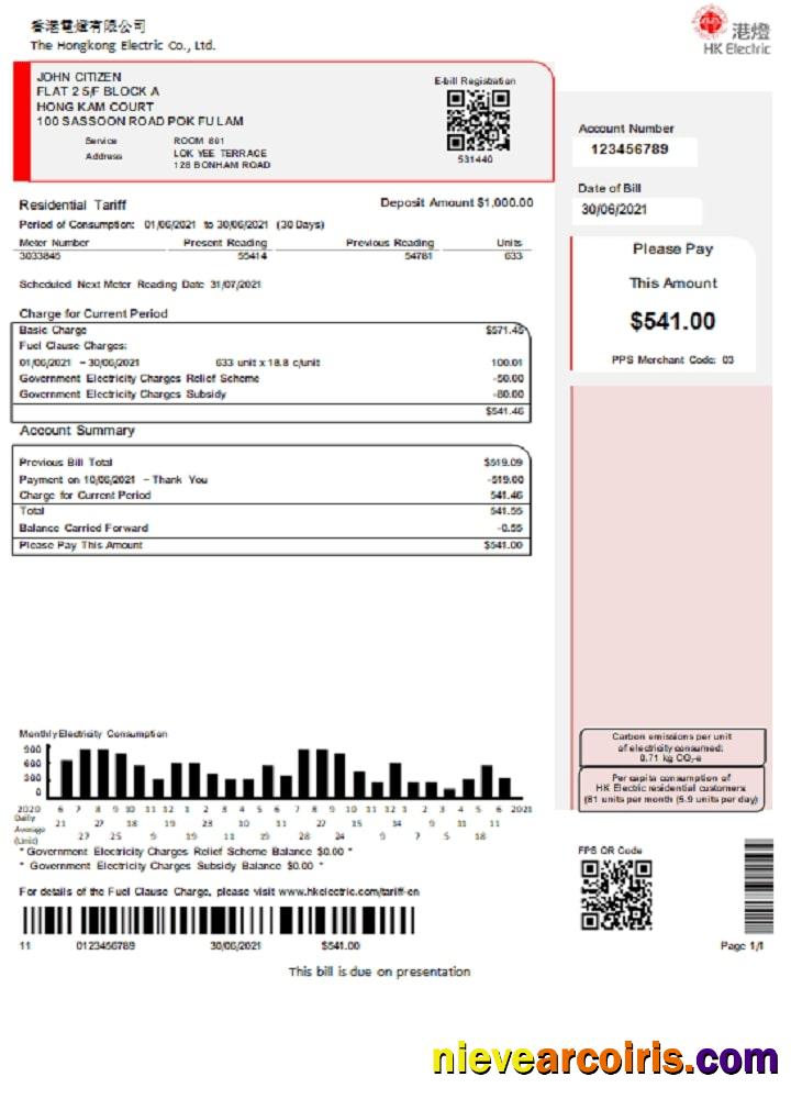 Hong Kong Hongkong Electric Company utility bill